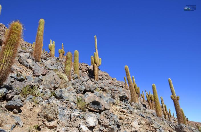 Atacama - viagemnafoto.com