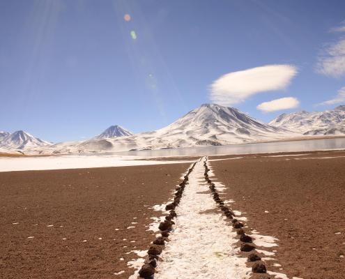 Lagunas Altiplanicas - Atacama - viagemnafoto.com