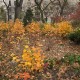 Central Park, New York, viagemnafoto.com