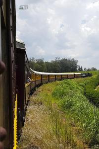Trem; viagemnafoto.com; campinas; jaguariúna; abpf