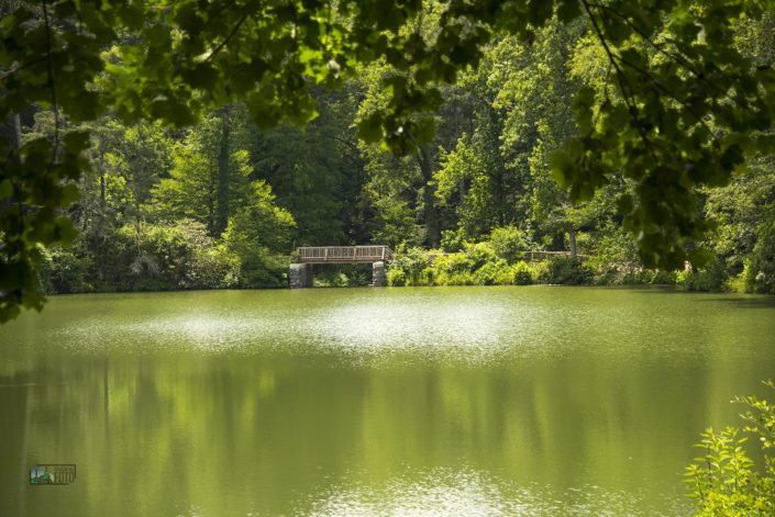 Jardins Biltmore; EUA; Carolina do Norte; viagemnafoto.com